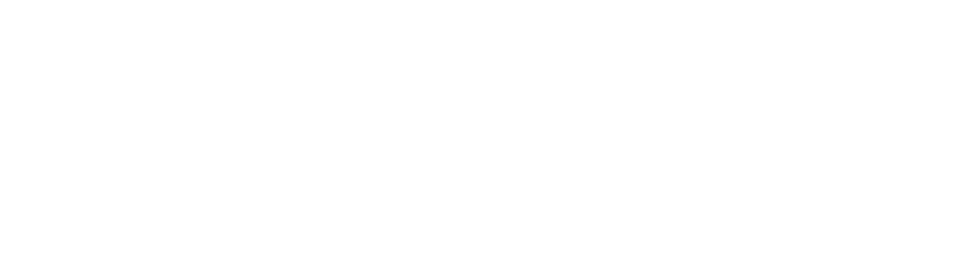 Visualista
